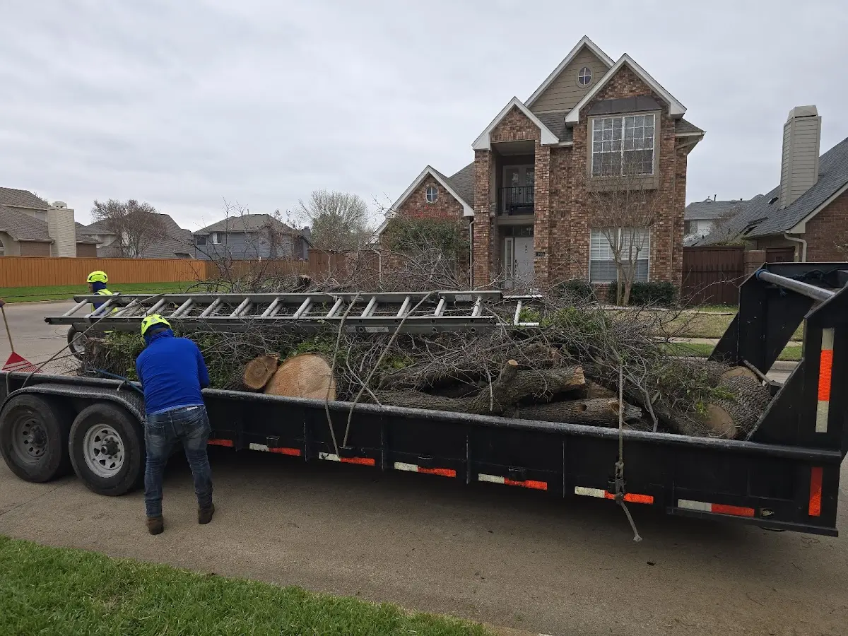 Expert Tree Removal with proper safety equipment in Fort Towson